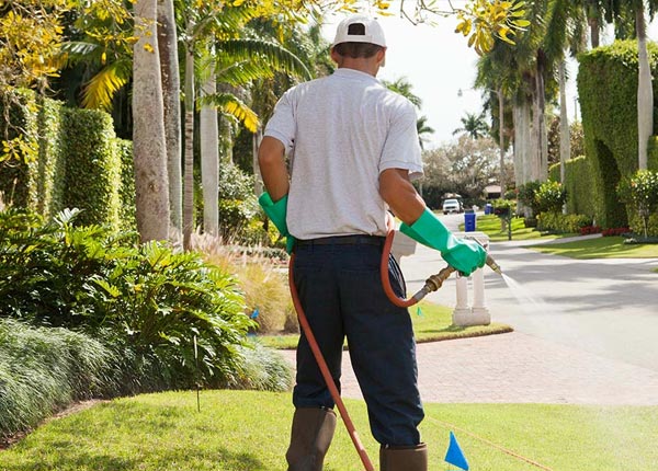 About Perryville MO Pest Control Pros